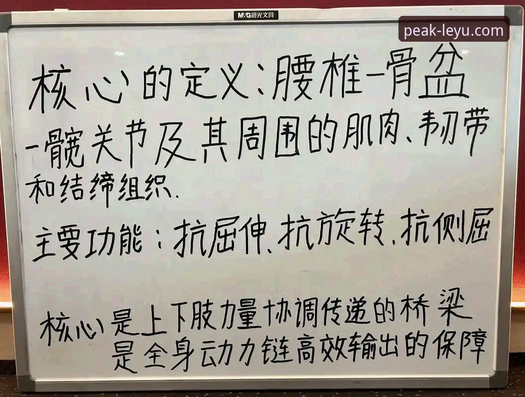 新手必看：资深用户分享乐鱼体育平台使用心得与操作指南